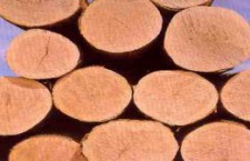 Logs-300×168