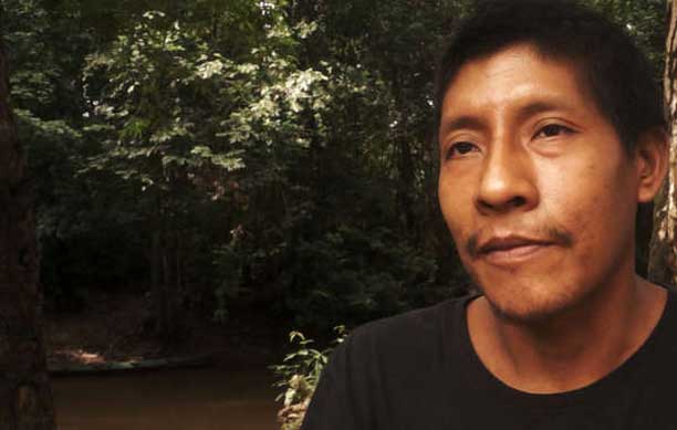 Amiri, another Awá man, told Survival International, ‘For a long time, we have been asking for the invaders to be evicted. It has to happen now. They must be removed. The loggers have already destroyed many areas; we refuse to lose all our land.’