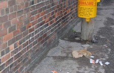 needles-in-laneway-behind-May-Street-May-19-2013
