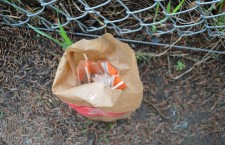 Bag-of-Needles-June-1-2013