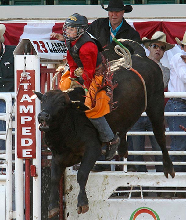 Calgary Stampede