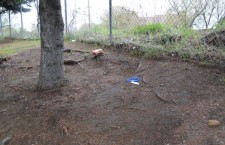 Needles-2-Kam-River-Park-June-1-2013