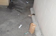 back-alley-needles-June-15-2013