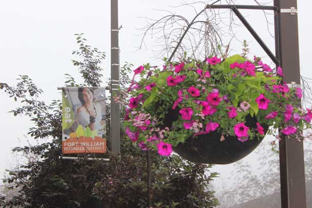 Flowers, banners and benches in the Fort William Downtown BIA