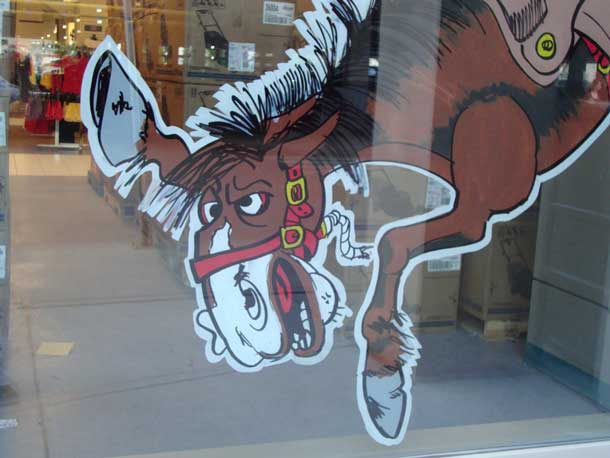 Calgary Window Painting