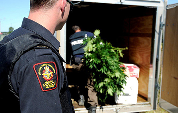 A CF military policeman watches as a member of the RCMP puts marihuana plants in a trailer