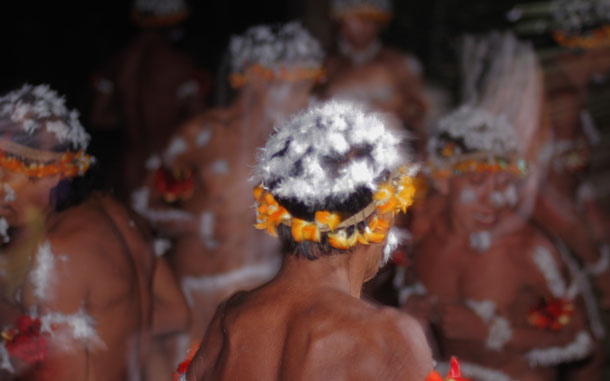 During the Awá's full moon ritual, men decorate their hair with white king vulture feathers. The Awá are Earth's most threatened tribe because their forest is being rapidly cut down.