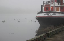 James-Whalen-Kam-River-Park