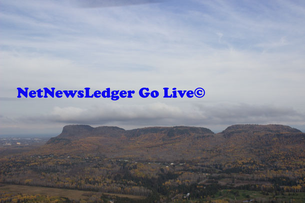 NetNewsLedger GO-Live©