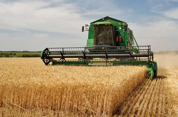 Fall Harvest is into the homestretch in Alberta and Manitoba.