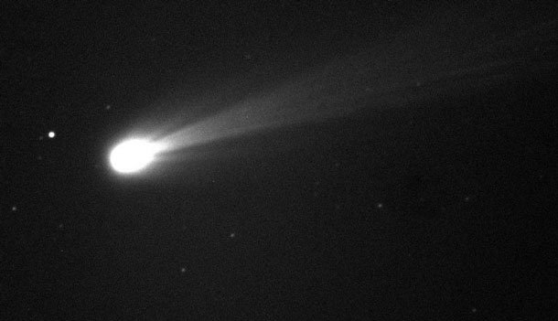 Comet ISON shines brightly in this image taken on the morning of Nov. 19, 2013. This is a 10-second exposure taken with the Marshall Space Flight Center 20" telescope in New Mexico. The camera there is black and white, but the smaller field of view allows for a better "zoom in" on the comet's coma, which is essentially the head of the comet. Image credit: NASA/MSFC/MEO/Cameron McCarty