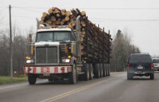 logging-truck-with-logs-FWFN