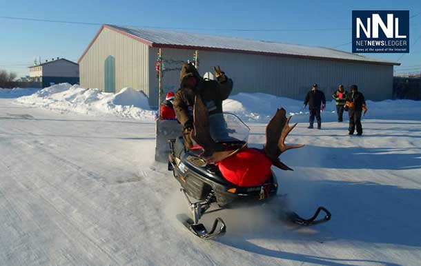 A gas powered reindeer enjoys the day in Attawapiskat. Photo by Rosiewoman Cree.