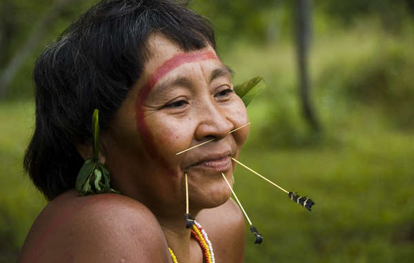 Tribal people around the world had reason to celebrate in 2013. © Fiona Watson/Survival