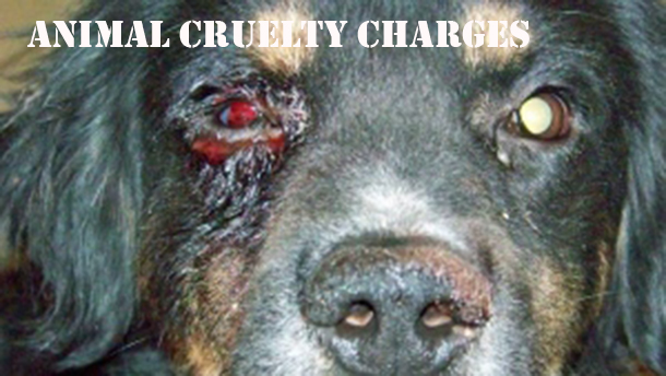 animal cruelty charges laid
