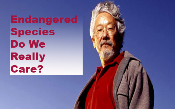 If we really cared about endangered species, we’d do a better job of supporting them - David Suzuki