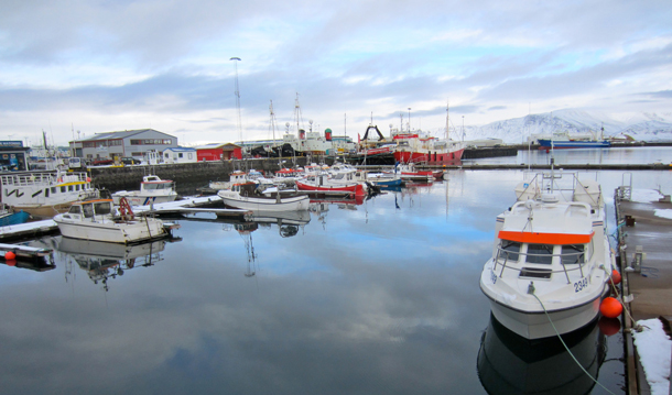 Reykjavik harbor with mountains in the background. Photo by Kerry Diotte.