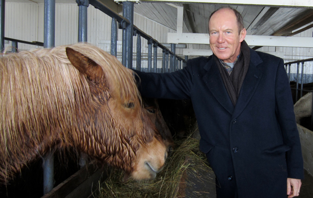 Travel writer Kerry Diotte gets up close with an Icelandic horse.