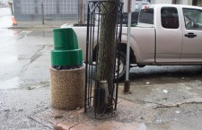 Tree-protectors-on-Victoria-Ave-East