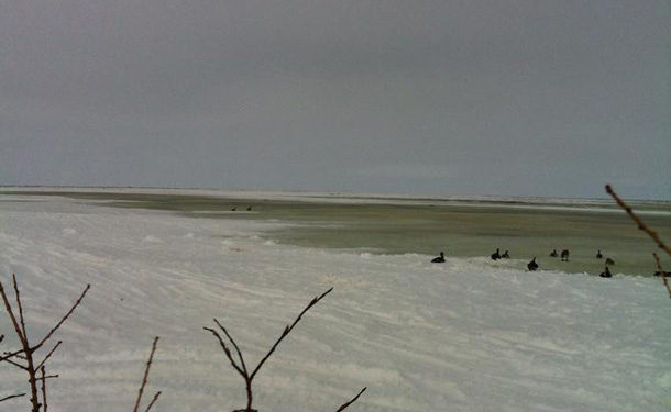 Spring goose hunting along James Bay in Washaho First Nation - Fort Severn.