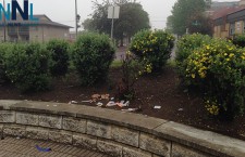 Homeless-in-Thunder-Bay-Syringes-in-Kam-Park-on-Simpson-2014-07-06