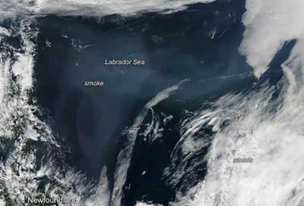 Smoke from Northern fires is now over the Labrador Sea