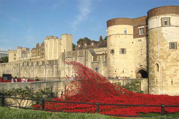 Tower of London Popples each ceramic poppy represents a British casualty during the Great War