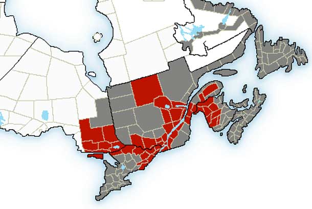 Eastern Canada is under weather warnings.