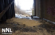 Grain spilled from rail cars under the CN Rail James Street Bridge