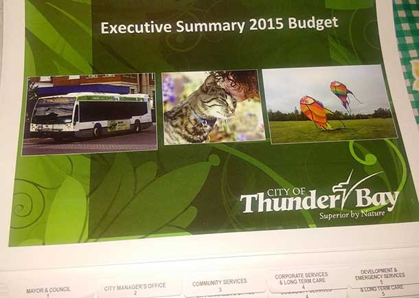 2015 Budget