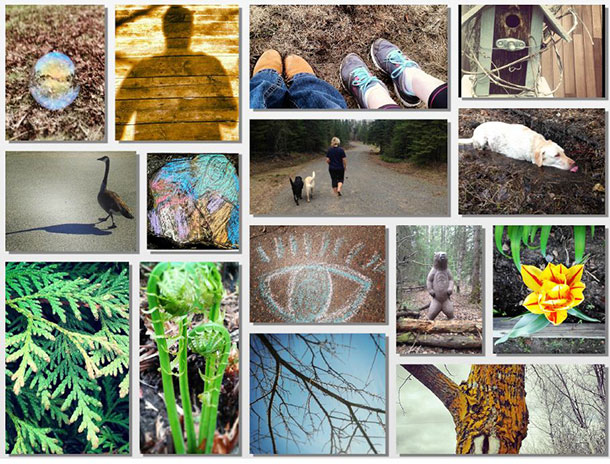 A collage of photos submitted by Thunder Bay Regional Health Sciences Centre staff who participated in the 30x30 Nature Challenge in 2014.