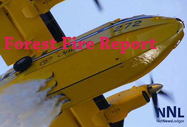 Forest Fire Report