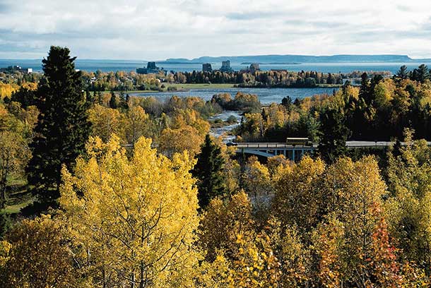 The City of Thunder Bay has delayed a project that would have seen Boulevard Lake drained and reclamation performed this summer