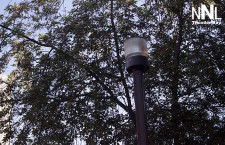 Downtown-FW-Street-lights
