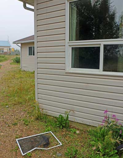 A black bear rips out a window screen in an attempt to enter the residence of Rebecca Steele. (Photo by Pam Chookomoolin)