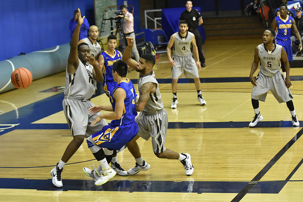 The Lakehead Thunderwolves Men's Basketball Team in action against UM Bisons - Photo Lakehead U