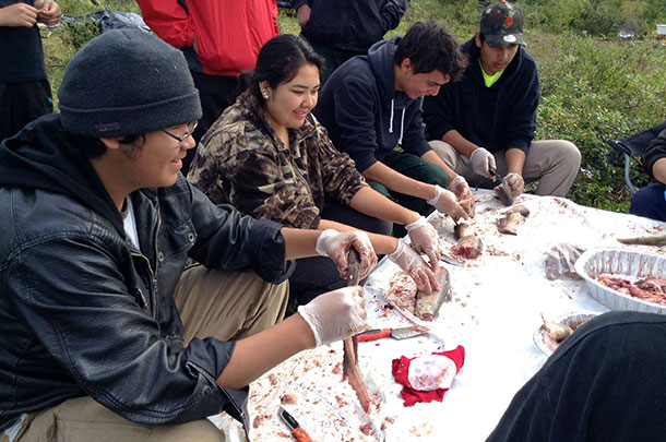(from left to right) Elmer Mack, Brandi Hunter, Jared Bird and Daylan Chookomolin learn from elders Laura Koostachin and Annie Wabano how to prepare fish for frying or smoking.