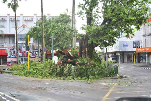 A tree in the center of Fiji's capital Suva lays in ruin after Cyclone Winston swept across Viti Levu Island, February 21, 2016. REUTERS/Taniela Qalilawa/Handout via Reuters