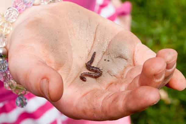 Gardening with Kids