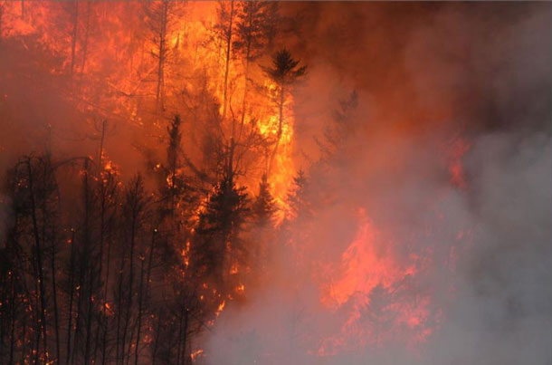 Red Lake District Fire Number 003, located within Woodland Caribou Provincial Park has exhibited extreme fire behaviour throughout its progress. This extreme behaviour is expected to continue, challenging firefighting efforts in Ontario and Manitoba. 