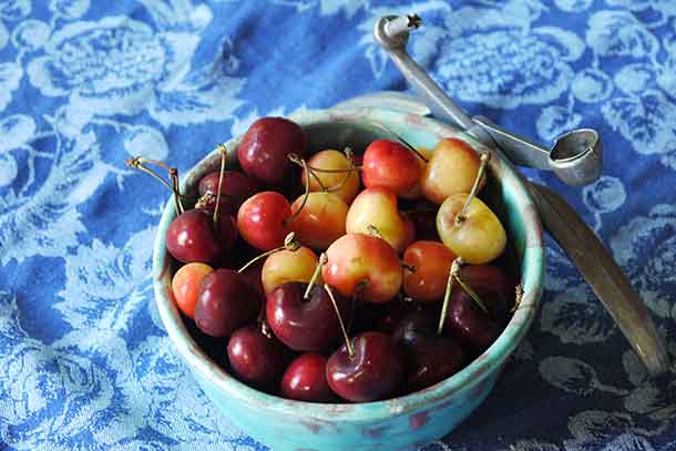 A bowl of fresh cherries. Credit: Copyright 2016 Brooke Jackson