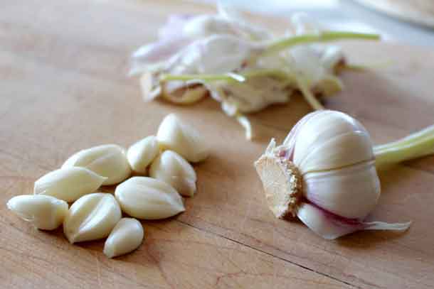 New garlic. Credit: Copyright 2016 Sue Style