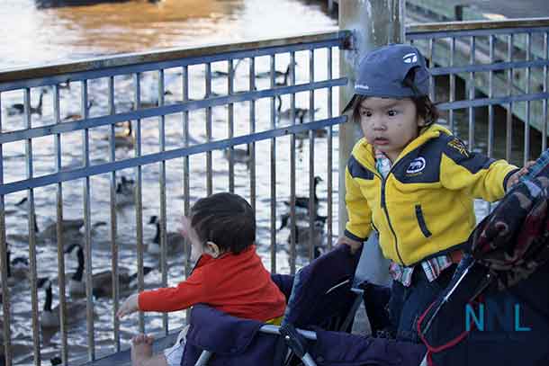 Early evenings in Kam River Park are starting to bring out people to enjoy the wildlife