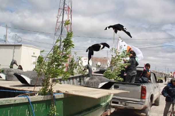 The goose hunting blind in the back of the truck in the Attawapiskat Parade