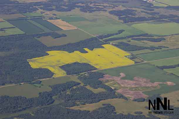 Farm Fields in Manitoba