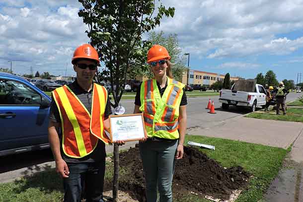 “Thunder Bay Hydro is pleased to participate in the beautifying of boulevards and public areas with height appropriate trees,” says Chris Pereira, Utility Arborist Coordinator