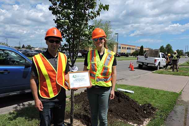 “Thunder Bay Hydro is pleased to participate in the beautifying of boulevards and public areas with height appropriate trees,” says Chris Pereira, Utility Arborist Coordinator 