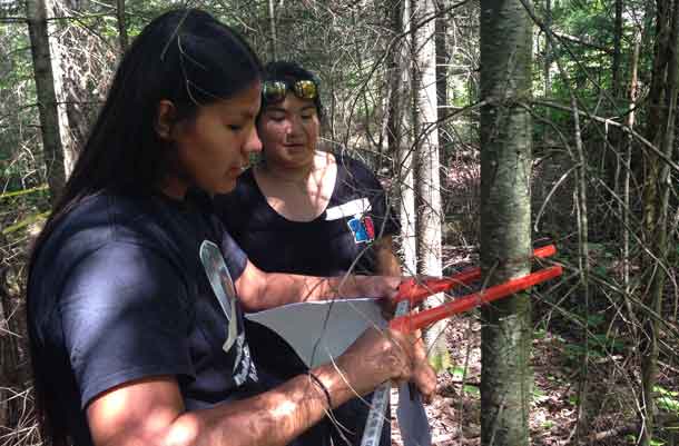 Participants Sydney White (left) of Whitefish Bay First Nation and Shaylyn Lands of Eagle Lake First Nation measure a tree as part of the inventory and identification activities?