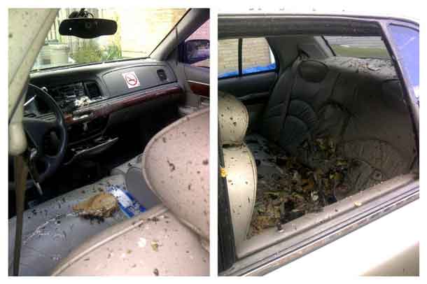 A combination photo shows Royal Canadian Mounted Police (RCMP) images showing inside of a taxi where there was a detonation with suspect Aaron Driver inside when RCMP Explosives Disposal Unit and Emergency Response Team were deployed in Strathroy, Ontario, Canada on August 10, 2016. Courtesy RCMP/Handout via REUTERS