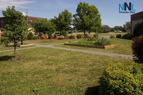 The garden off Simpson Street at Shelter House